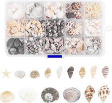 15 Types 800 Pcs Natural Tiny Mini Sea Shell Conch Starfish with 15 Compartme... picture
