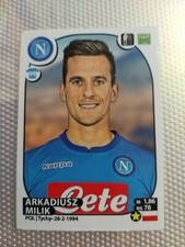 Serie A 2017-2018 Arkadiusz Milik Figure Number 389 Napoli Team picture