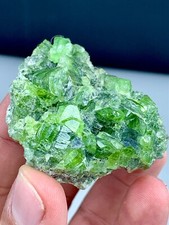 62 GM Natural lush Green Peridot Crystals On Matrix Specimen From Supat Pakistan picture