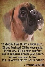 Funny Boxer dog fridgerator magnet 3 1/2 X 4 1/2 