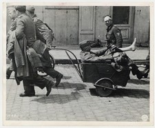 Retreating German Soldiers 1944 Injured Wounded Prisoner POW Photo J15239 picture