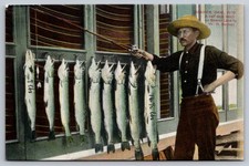 Beaver Dam Wisconsin Fish Caught on Beaver Lake by W.H. Becken Antique Postcard picture
