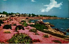 Vintage Ocean View Boulevard Pacific Grove Claifornia Postcard picture