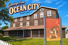 Greetings From Ocean City, MARYLAND Modern Large Letter Postcard E221 picture