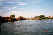 Looking down the Sacramento River Found Photo V1739 picture
