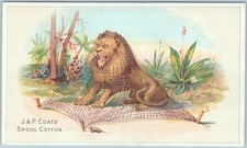 J.&P. COATS THREAD Victorian Trade Card Lion Caught in Trap Old Fable w/ Mouse picture