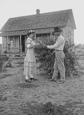ANTIQUE GLASS PLATE NEGATIVE: Love in Bloom - Man Offering a Woman a Flower picture