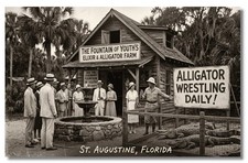 Vintage‑STYLE NEW ART 1930's RPPC-ELIXIR & ALLIGATOR FARM-ST. AUGUSTINE FL-FAUX picture