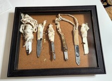 Vintage Parchman Ms. State Prison Original Shiv Collection In Display Unit 32 picture