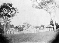 Warrock Station Casterton District Victoria 1900 Old Photo picture