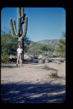 Vintage Slides - 1952 Man Saguaro Cactus Desert Congress Junction AZ Western picture