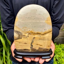 2.27LB Beautiful Natural Chinese Dendritic Limestone Picture Stone Guohua -Rare picture