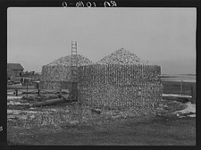 Photo:Emmet County Iowa 1900s Open Crib Corn Storage Farm Scene picture