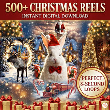 VIRTUAL SANTA - 500+ Christmas Reels Bundle | 8-Second Holiday Loops - on USB picture