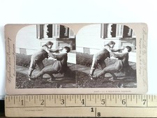 Boys Play Fight Stereoview Keystone View Co. 1901 D. B. Sturges Meadville PA picture