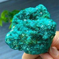 239G Natural green dioptase emerandine gemstone cluster mineral specimen picture
