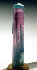 Top Quality Beautiful Blue Cap Bi-Colour Tourmaline Terminated Crystal  picture