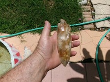 Pre Columbian Florida Native Spearpoint picture