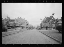 Photo:1930s Residential Street Houses Trees Buildings 1935 picture