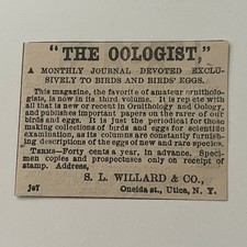 SL Willard & Co The Oologist Monthly Journal Utica NY 1878 Clipping SAI4-S51 picture