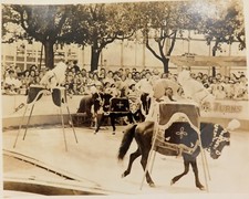 c1940s Unknown Performing Troupe Circus Large Photograph. Dogs, Monkeys, Horses picture