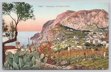 Vintage CAPRI Italy Panorama Monte Solaro Old Postcard Brunner Como Scenic View picture