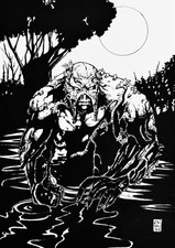 Vertigo: Swamp Thing - 9x12 Erivaldo Santos Inked Original Art COA - NOT a Print picture
