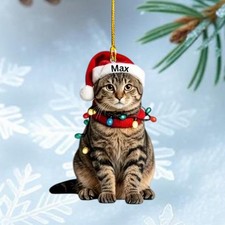Personalized Tabby Cat Ornament Tabby Cat Christmas Gift Pet Lovers picture