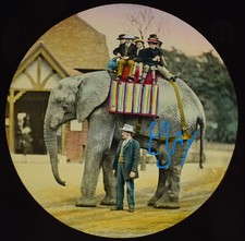 Photo JUMBO THE ELEPHANT LONDON ZOO C1875 Magic Lantern Slide P T BARNUM CIRCUS picture