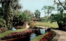LAKELAND NEWS CO., LAKELAND, FLA, CURTEICHCOLOR Postcard picture