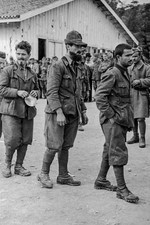 1941 Italian Prisoners Prisoners of War Greco-Italian War 4x6 Photo picture