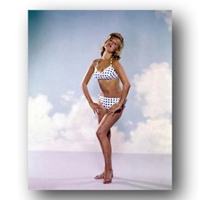 Sandra Dee Photo 8x10 Classic Hollywood Glamour Portrait 1960s Star picture