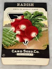 Vintage 1920s Card Seed Co. Red Radish Packet NOS Unused; Fredonia NY picture