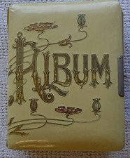 ANTIQUE VICTORIAN ERA CELLULOID ALBUM w/CDVs AND CABINET PHOTOS POPPY DESIGN picture