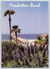 View of Manhattan Beach Pier Southern California Palms c1990 UNP 5x7