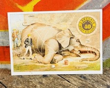 ANTIQUE C. 1880 J. & P. COATS TRADE CARD SIGN ELEPHANT HUNTER SPOOL COTTON RARE picture