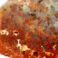 Powell Butte Plume Agate Slab - Black Red Orange Plume Quant Collection picture