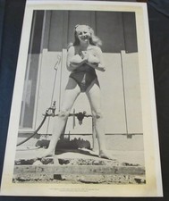 Vintage 1971 Yippy Inc Poster 