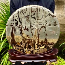 11.79LB Beautiful Natural Chinese Dendritic Limestone Picture Stone Guohua-Rare picture