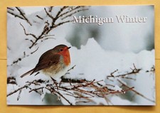 Postcard MI: Michigan Seasons. Winter, Bird  picture