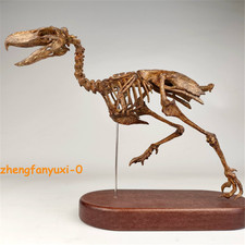 1:10 Kelenken Terror Bird Skeleton Fossil Statue 3D Print Model Collect Display picture