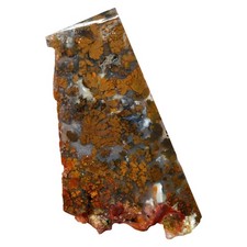 Powell Butte Plume Agate Slab - Black and White Plume in Blue picture