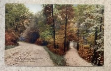 Vintage Minnehaha Boulevard & Pathway Minneapolis Minnesota Postcard Dirt Road picture