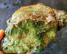 7.2 lbs (3.3 kg) Chrysoprase Rough, Raw Chrysoprase, クリソプレーズ,  크리소프레이즈 picture