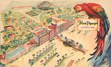 Vintage HOTEL PAPAGAYO Acapulco Mexico Postcard Aerial View Parrot Art 1940s picture