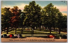 1956 Fredonia NY Barker Common Lake Erie Grape Belt Linen Postcard picture