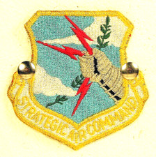 USAF US Air Force Strategic Air Command SAC Full Color Insignia Badge Patch  picture