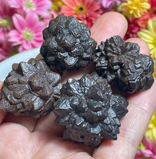 4 PCS Prophecy Stone Egypt , Prophecy Hematite , Pseudomorph  , Energy Crystal picture