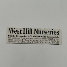 West Hill Nurseries Grape Vine Specialties Fredonia NY 1934 Ad SAH7-S14 picture