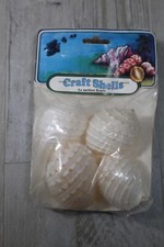 4 Tonna Tessalata white shells beach crafts jewelry picture